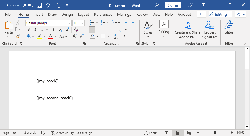 Word Document screenshot